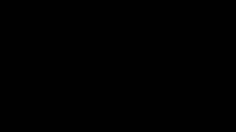 Shelby or if you want to make me purr just call me Kitten  online show from 29, 1, 2025