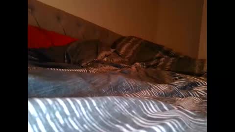 Snapshot of alwaysdownforwhatev chatting on 26, 10, 2025 alwaysdownforwhatev online show from 26, 10, 2025