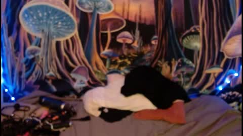 Snapshot of alyssaarcane chatting on 28, 5, 2026 alyssaarcane online show from 28, 5, 2026