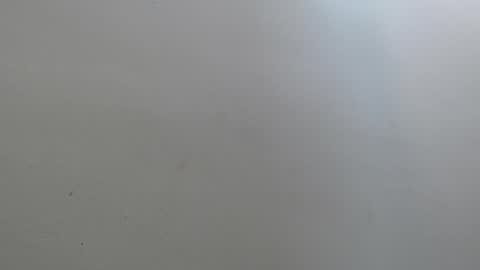 Amaranta online show from 4, 4, 2026