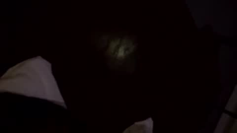 amateur265054 online show from 15, 3, 2026