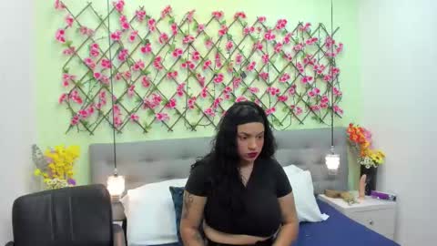 ambar85 online show from 22, 11, 2025