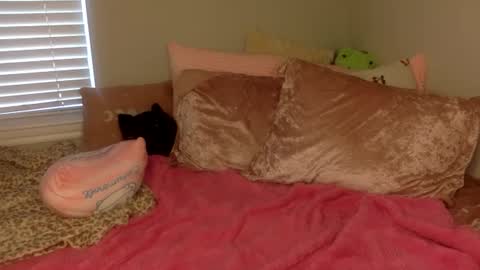 Snapshot of amberbunny1 chatting on 14, 9, 2025 Amber 3 online show from 14, 9, 2025