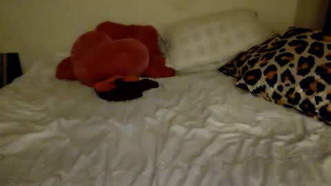 Amberloves2write aka AmberMyBelle online show from 8, 2, 2025