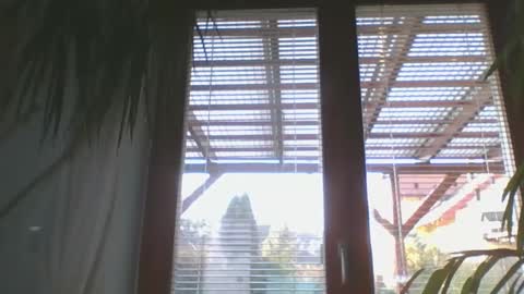 Snapshot of amberr11 chatting on 5, 12, 2024 Amberr11 online show from 5, 12, 2024