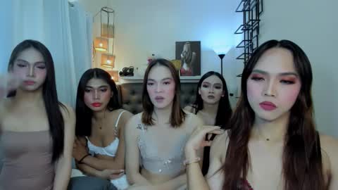 BIGCOCK AMBER online show from 4, 10, 2025