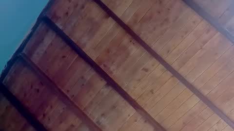 Amelia  Lucas online show from 2, 10, 2025