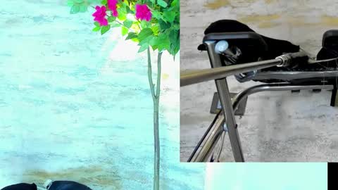  AMELIA.  online show from 15, 3, 2026