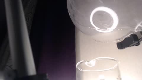 Snapshot of amoremeoww chatting on 13, 2, 2025 miss unforgettable online show from 13, 2, 2025