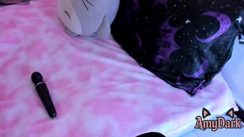 Amy online show from 31, 5, 2026