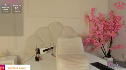 Amykord online show from 2, 11, 2025