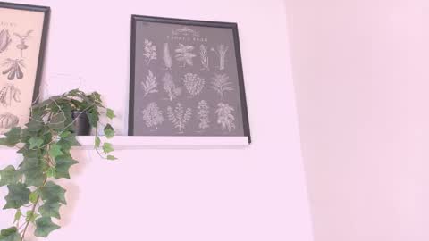  AMMY  online show from 20, 2, 2026