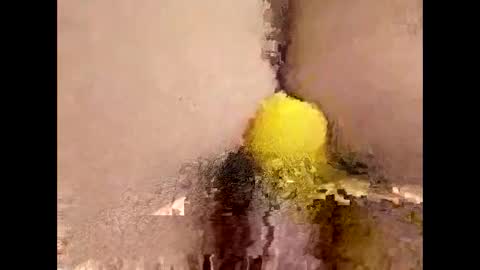 You can call me Amy Ray or Maggie May online show from 16, 4, 2026