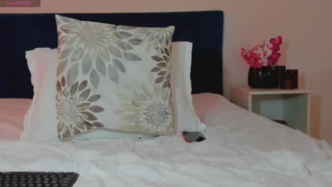 ANA online show from 27, 1, 2025