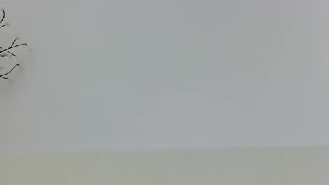 Snapshot of anaid_blaze2 chatting on 10, 11, 2025 anaid_blaze2 online show from 10, 11, 2025