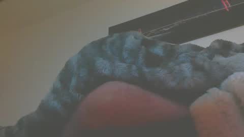 andreas online show from 5, 3, 2026