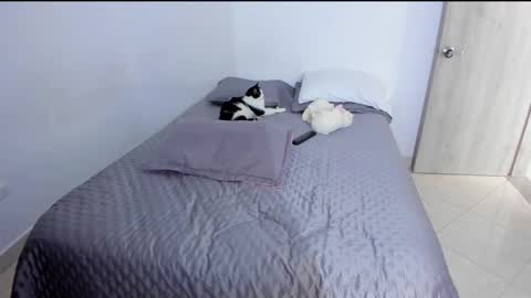 Andrea online show from 2, 3, 2025