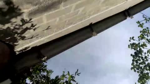 andrew online show from 14, 9, 2025