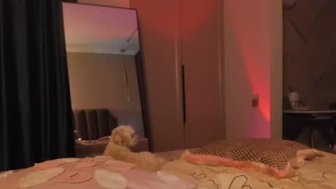 angel_andreww online show from 27, 5, 2026