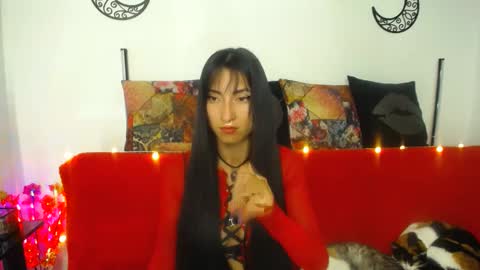 Snapshot of angela_mis chatting on 20, 12, 2024 Angela online show from 20, 12, 2024