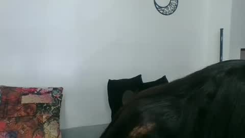 Snapshot of angela_mis chatting on 11, 3, 2025 Angela online show from 11, 3, 2025