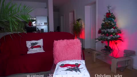 Snapshot of angelandfairieskink chatting on 22, 12, 2024 Aimi Selena Daisy online show from 22, 12, 2024