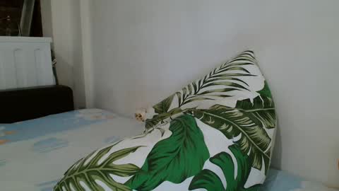 Angela online show from 19, 2, 2025