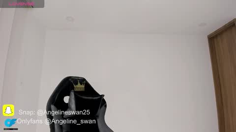 Snapshot of angeline_swan chatting on 1, 2, 2026 Megan online show from 1, 2, 2026