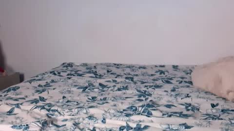 Angelinhaa  online show from 17, 1, 2026