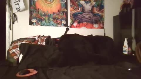 Angel and Mark online show from 8, 2, 2026