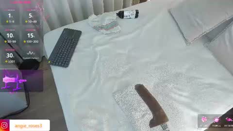 angiee roses online show from 24, 6, 2026