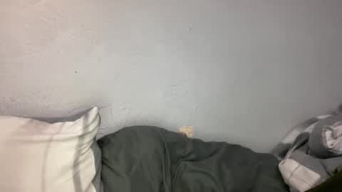 Animeboygirls online show from 19, 1, 2026