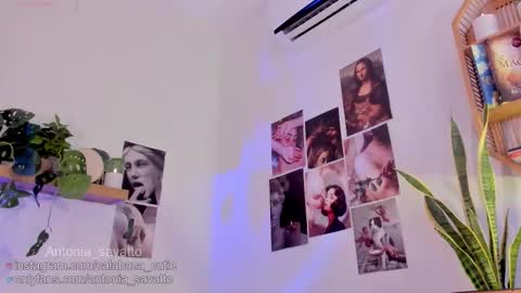 o ANTO online show from 11, 3, 2026