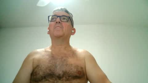 furry bear online show from 21, 2, 2025