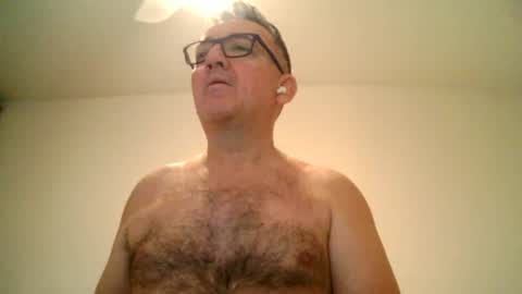 furry bear online show from 23, 2, 2025