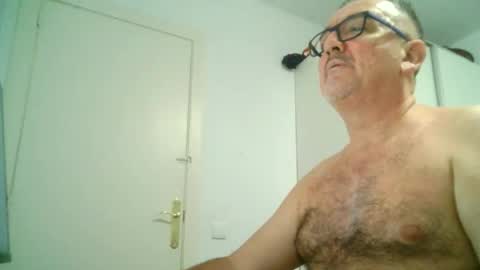 furry bear online show from 8, 9, 2025