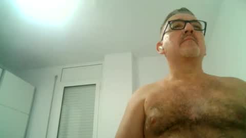 furry bear online show from 16, 9, 2025