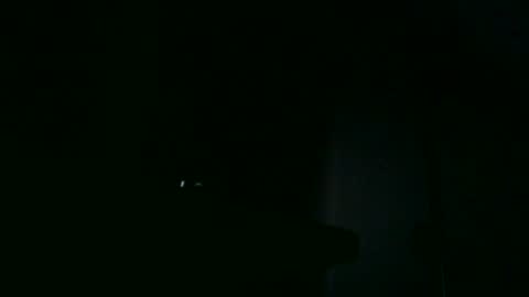 furry bear online show from 18, 10, 2025