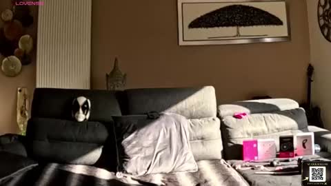 apollonfitx_69 online show from 1, 2, 2026