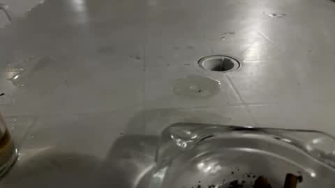 appelsapje4 online show from 24, 11, 2025