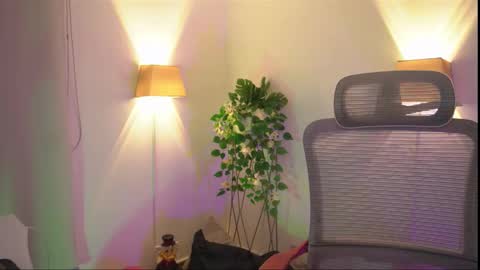 insta appolo master online show from 29, 11, 2025