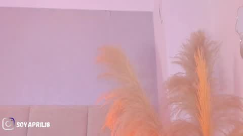 Snapshot of april_ebony18_ chatting on 20, 4, 2026 April online show from 20, 4, 2026