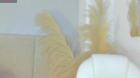 Snapshot of april_ebony18_ chatting on 29, 4, 2026 April online show from 29, 4, 2026