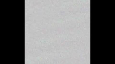 Arianna Collins online show from 5, 11, 2025