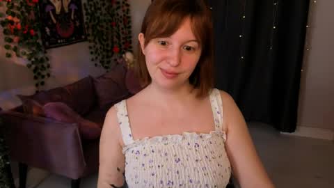 Arizona online show from 3, 4, 2026