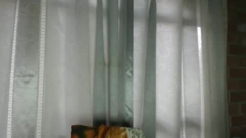 ARMANDO online show from 16, 1, 2026