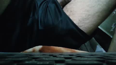 art_max99xxx online show from 12, 1, 2025