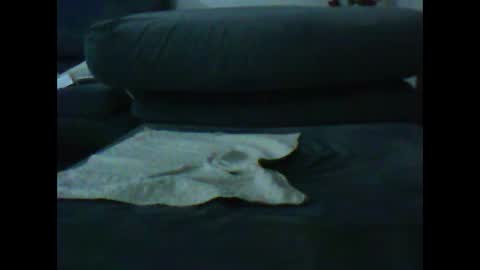 Snapshot of artanm2 chatting on 9, 1, 2025 natra online show from 9, 1, 2025