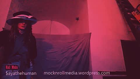 aspiringturtlegirl online show from 19, 2, 2026