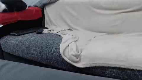 Snapshot of asshunnter chatting on 16, 1, 2025 MARCO online show from 16, 1, 2025